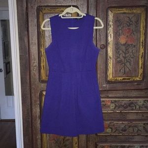 Madewell Royal Blue Dress